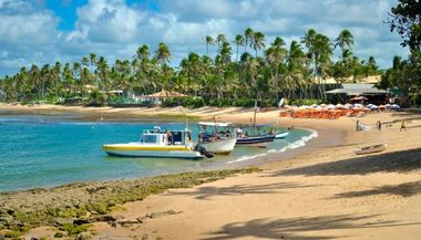 Praia do Forte, na Bahia