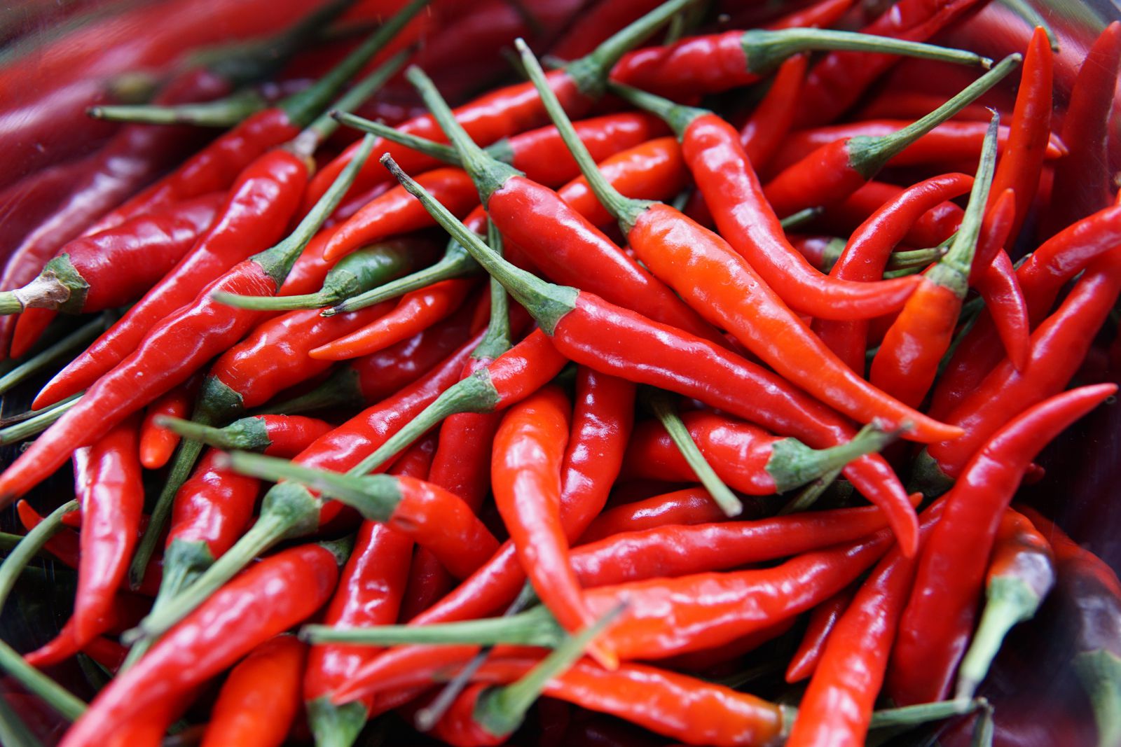 Diversas pimentas