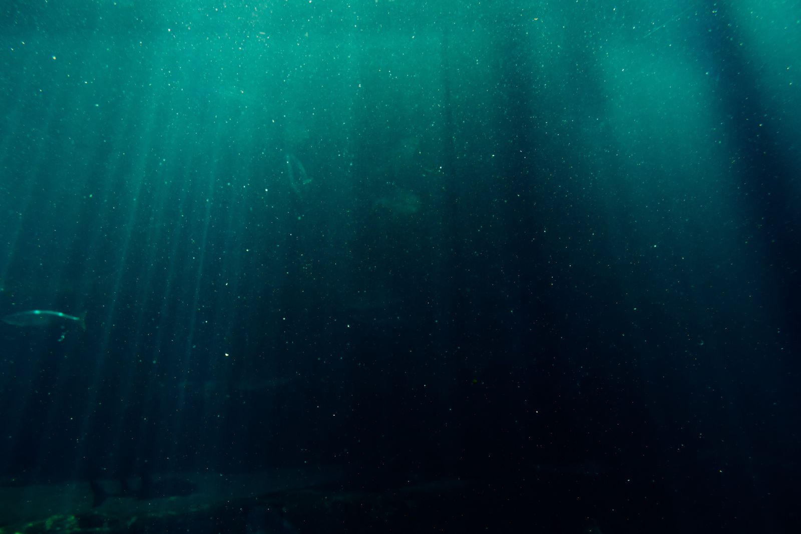 Fundo do mar