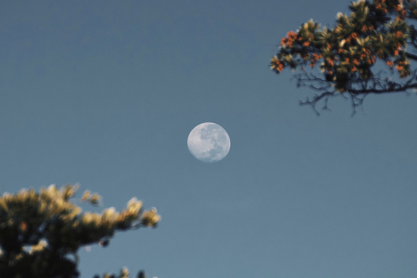 Lua cheia no céu