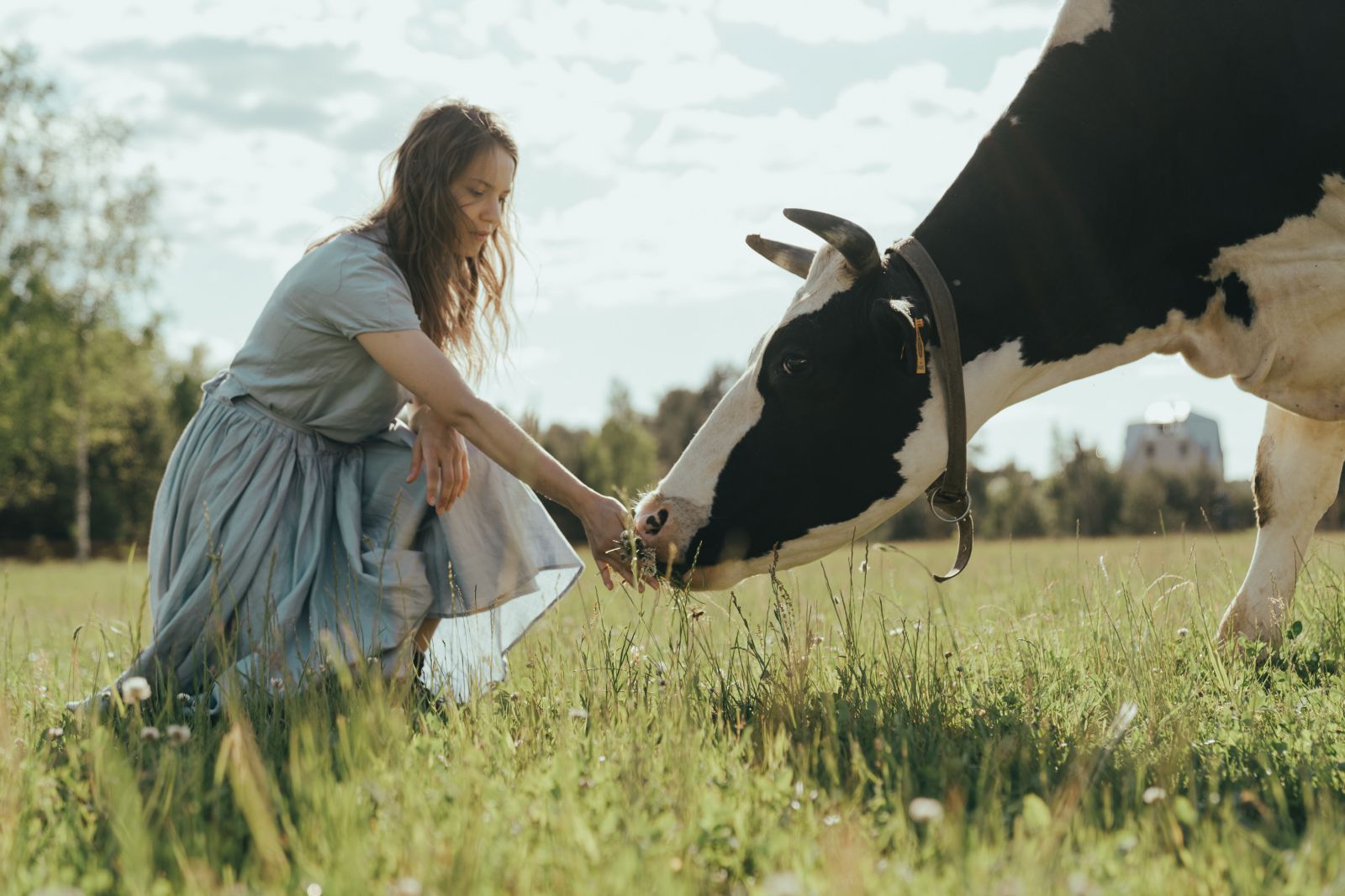 Mulher com a mão no nariz da vaca