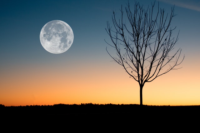 Lua grande numa paisagem.