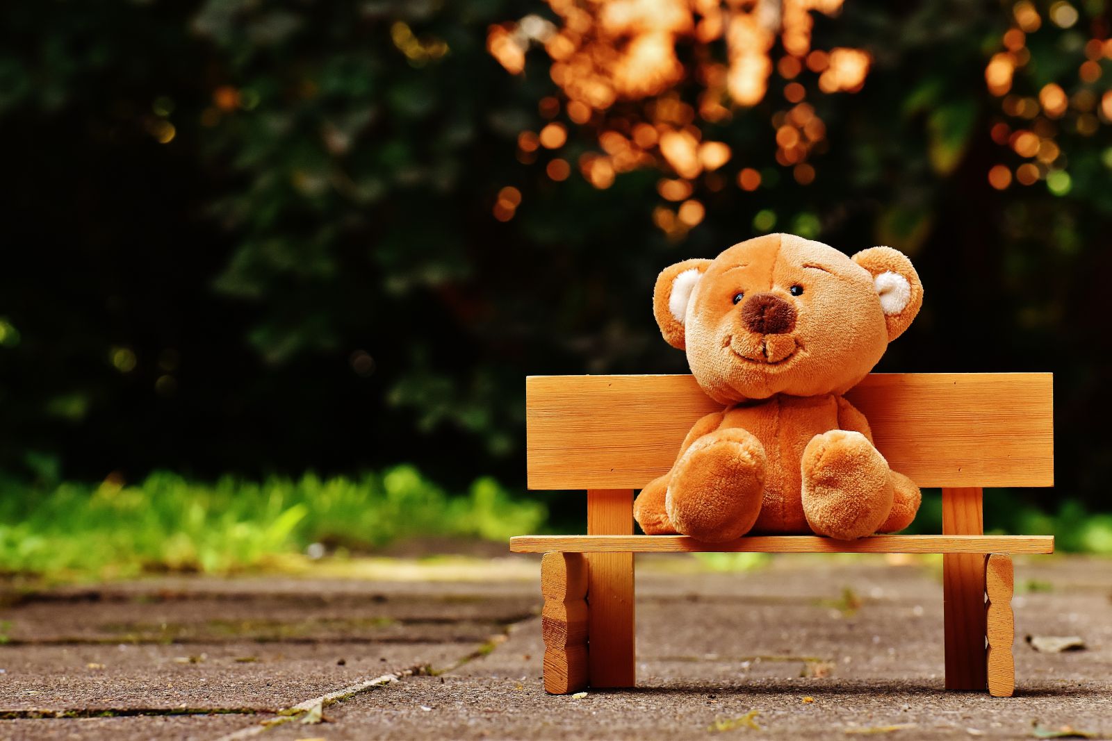Urso de pelúcia em um banco
