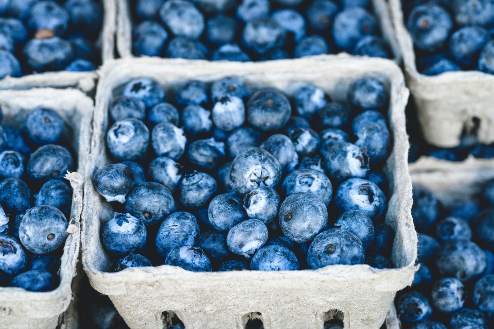 Fruta de mirtilo em um recipiente