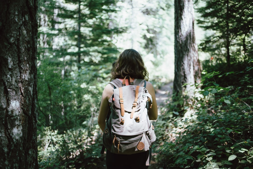 Mulher de mochila de costas num bosque.