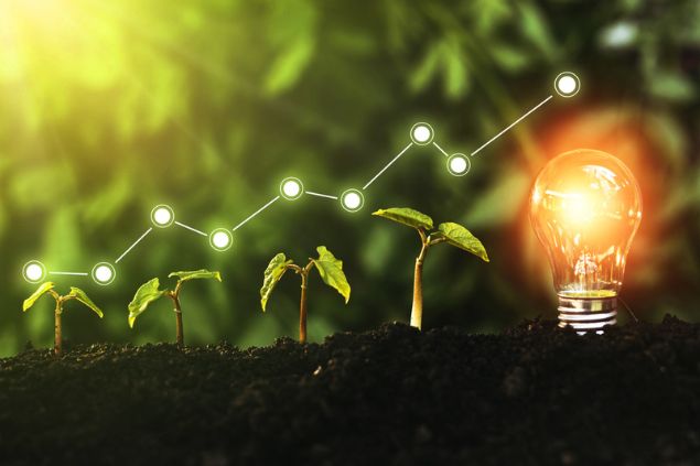 Mudinhas de planta em desenvolvimento gradual, em fileira. No final, há uma lâmpada acesa sobre a terra..