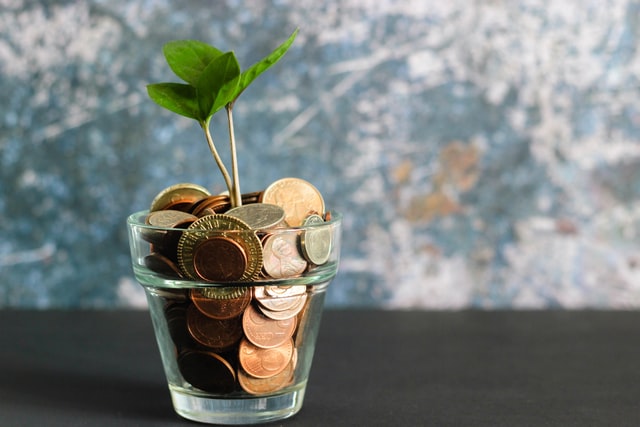 Pote de moedas com planta.