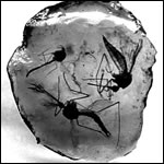 Pedra Ambar negro