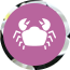Signo Câncer