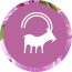 Signo Capricórnio