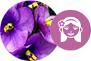Signo Virgem