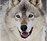 Signo Xamânico Lobo