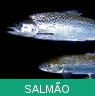 Signo Xamânico salmao